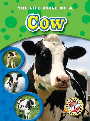 cover image of The Life Cycle of a Cow